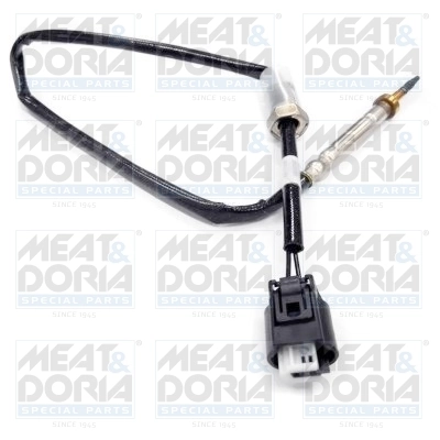 Sensor, exhaust gas temperature